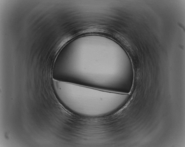 X0000098011321200803280722