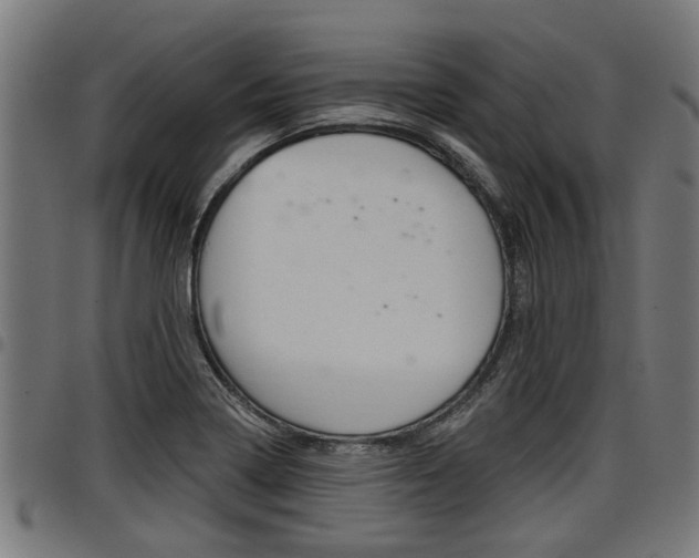 X0000098011322200803280722