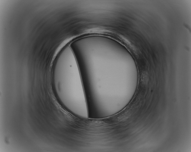 X0000098011323200803280722