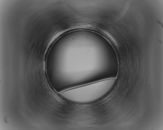 X0000098011324200803280722