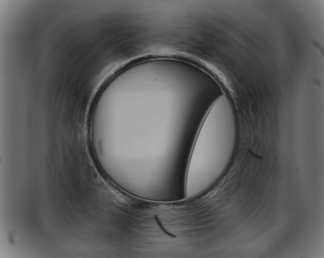 X0000098011327200803280722