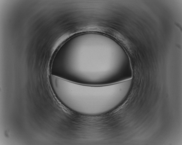 X0000098011328200803280722