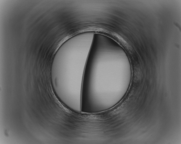 X0000098011329200803280722