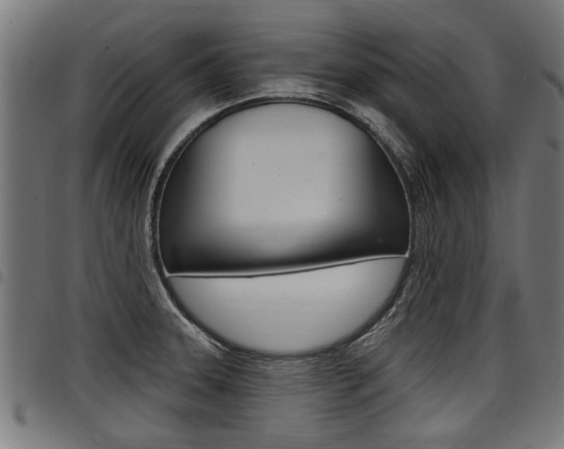X0000098011331200803280722