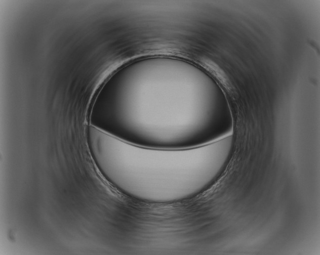 X0000098011332200803280722