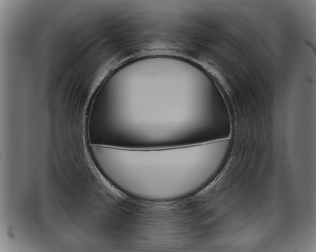 X0000098011333200803280722