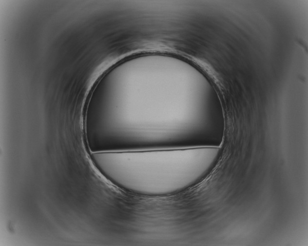 X0000098011335200803280722