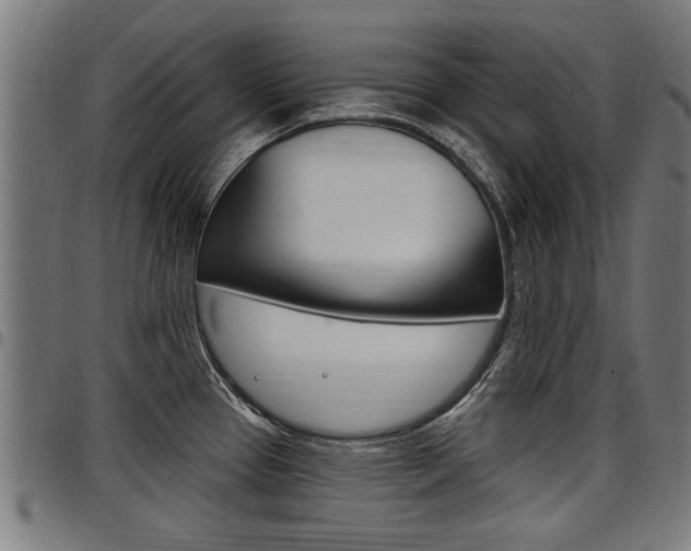 X0000098011337200803280722
