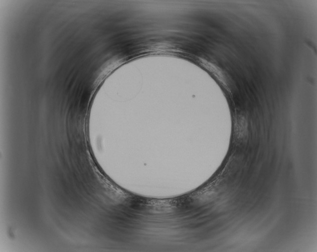 X0000098011338200803280722