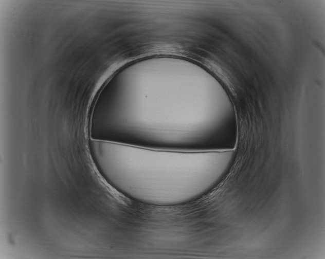 X0000098011339200803280722