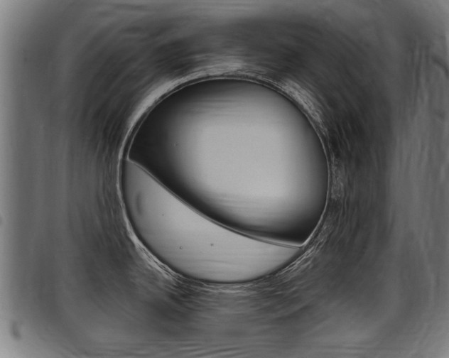 X0000098011342200803280722