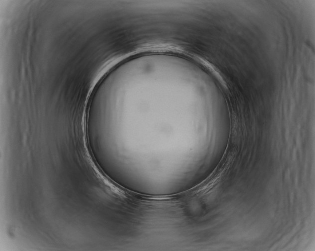 X0000098011343200803280722