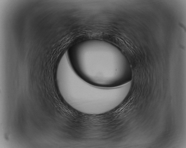 X0000098011345200803280721