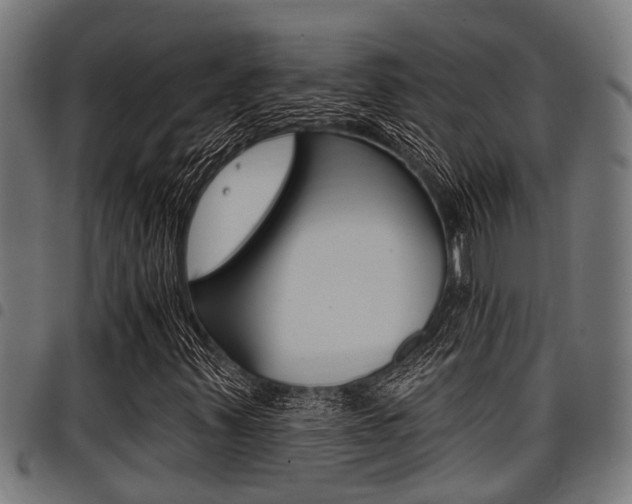 X0000098011347200803280721