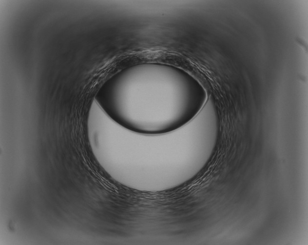 X0000098011349200803280721