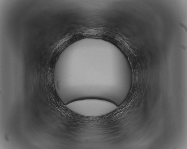 X0000098011350200803280721