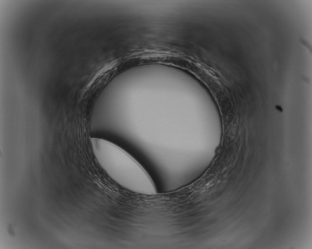 X0000098011351200803280721
