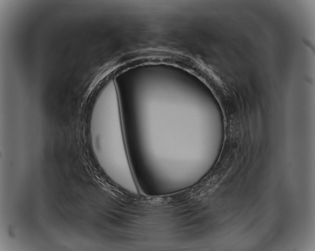 X0000098011352200803280721