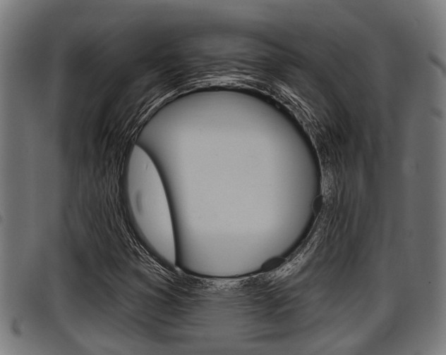 X0000098011353200803280721