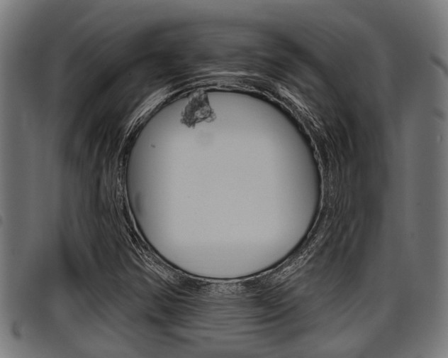 X0000098011354200803280721