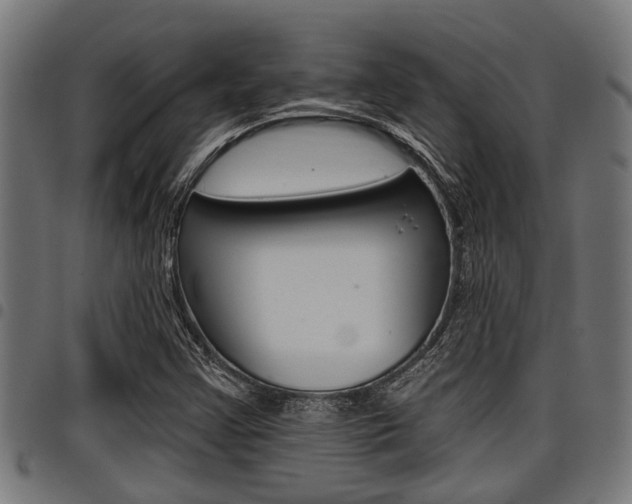X0000098011355200803280721