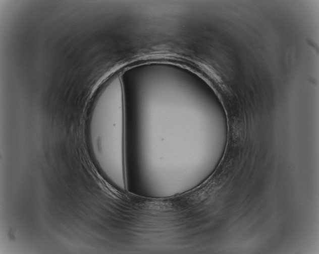X0000098011356200803280721