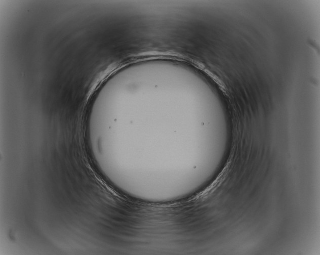 X0000098011357200803280721
