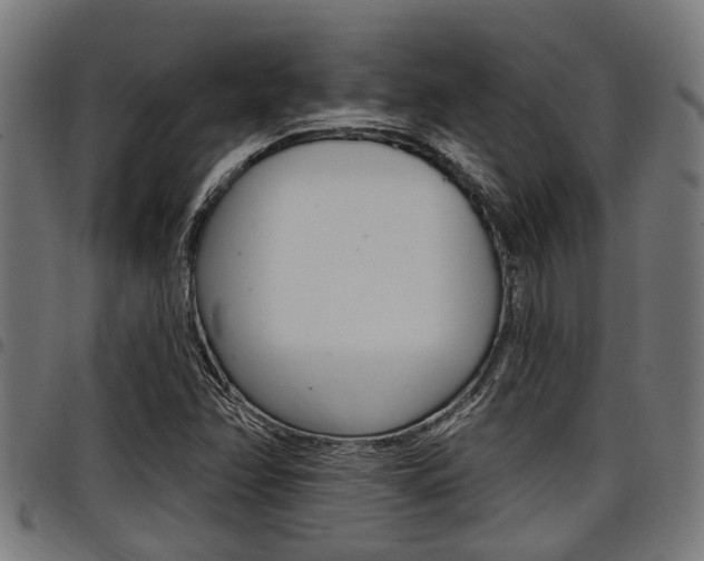 X0000098011358200803280721
