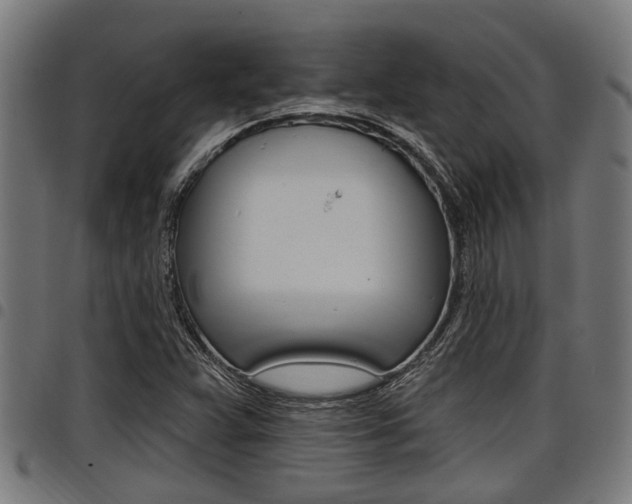 X0000098011359200803280721