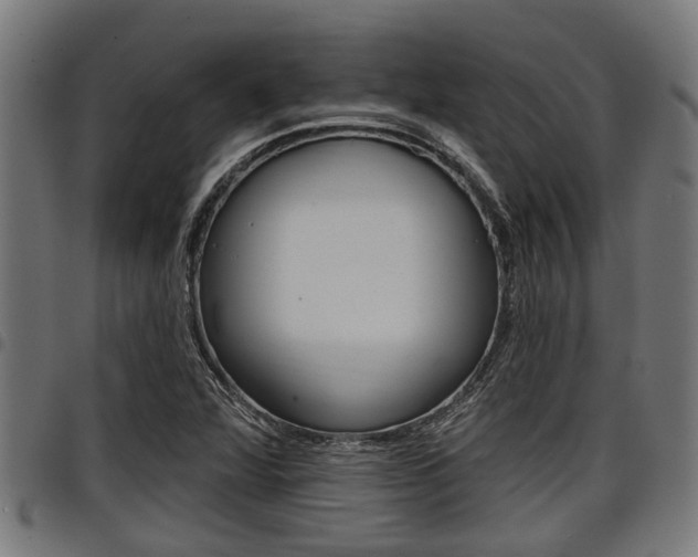 X0000098011360200803280721