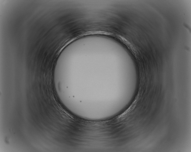 X0000098011361200803280721