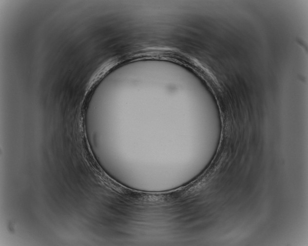 X0000098011362200803280721