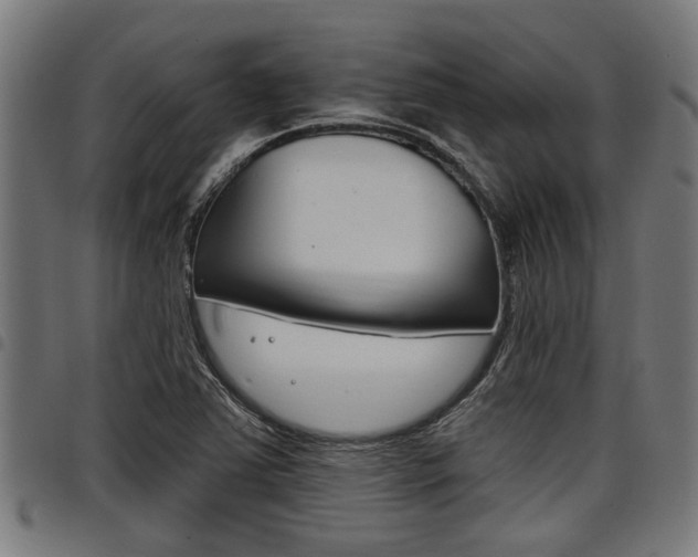 X0000098011363200803280721