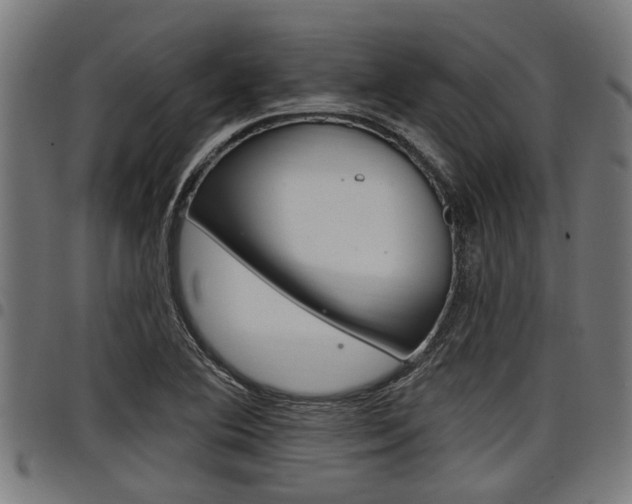X0000098011364200803280721