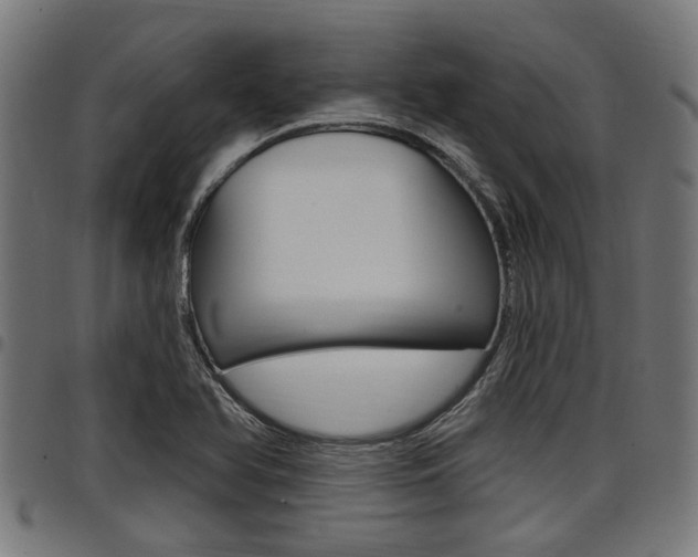 X0000098011366200803280721