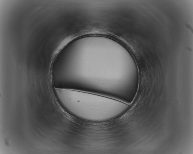 X0000098011367200803280721