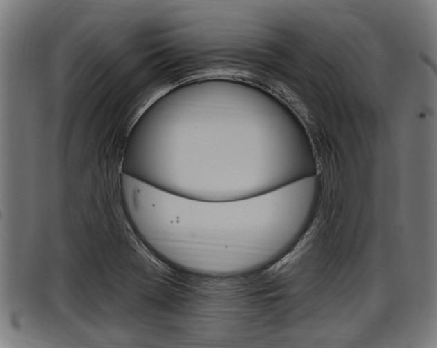 X0000098011369200803280721
