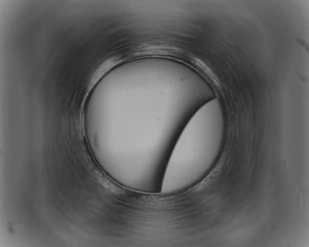 X0000098011370200803280721