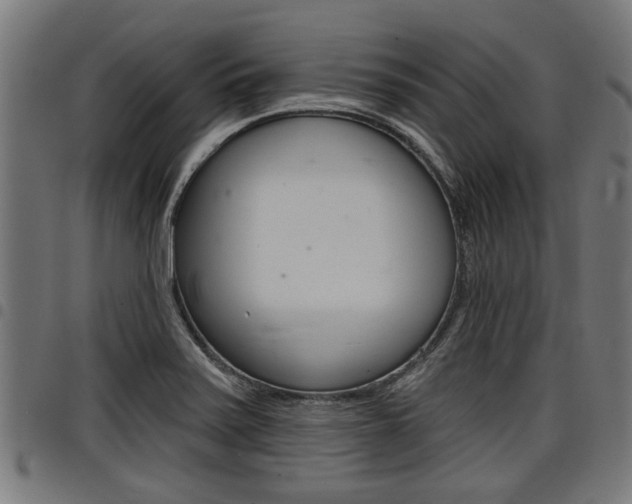 X0000098011371200803280721