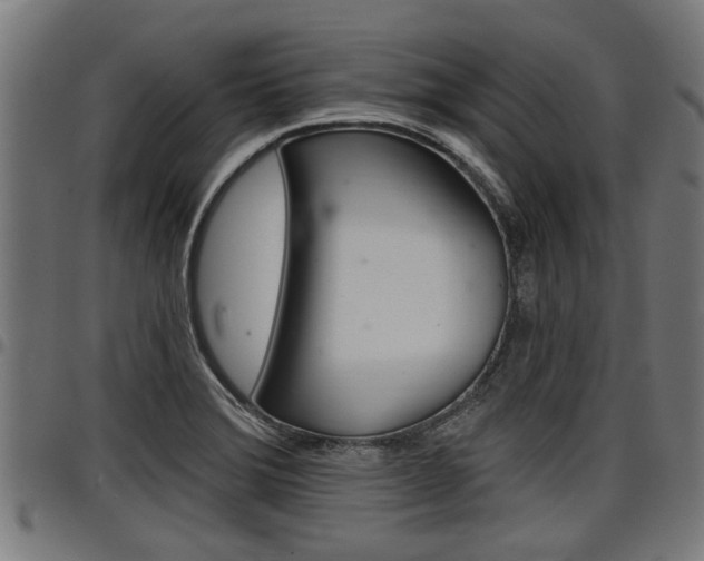 X0000098011372200803280721