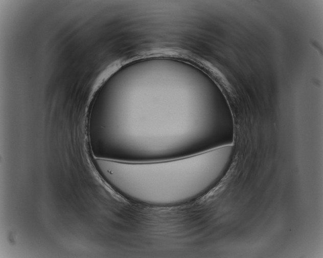 X0000098011373200803280721