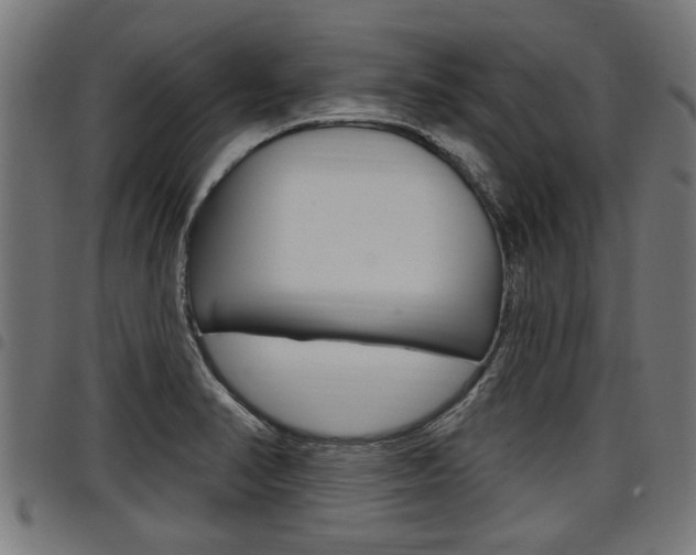 X0000098011374200803280721