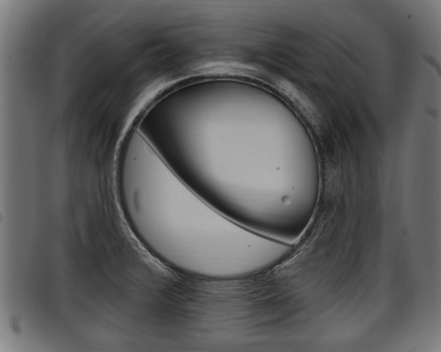 X0000098011376200803280721