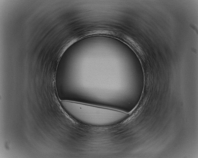 X0000098011377200803280721