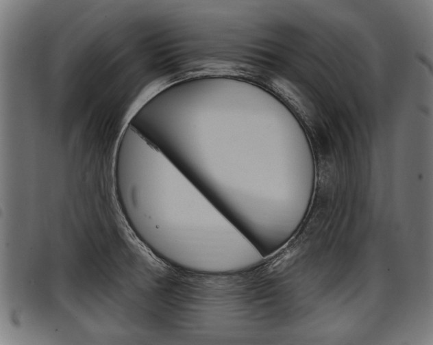 X0000098011378200803280721