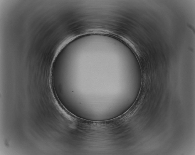 X0000098011379200803280721