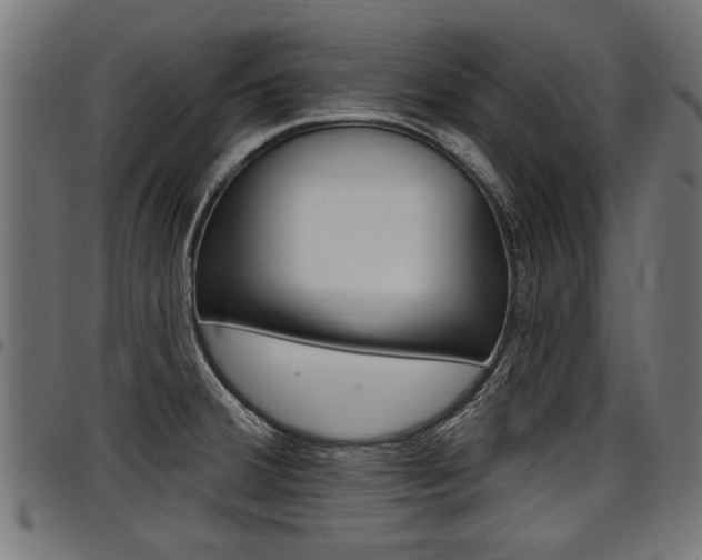 X0000098011380200803280721
