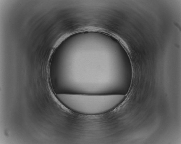 X0000098011381200803280721