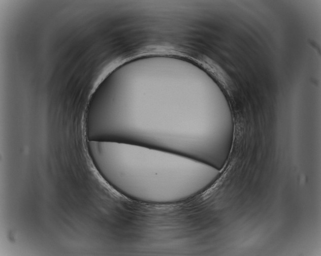 X0000098011382200803280721