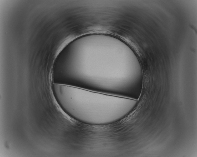 X0000098011383200803280721